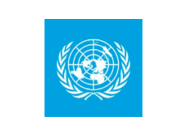 UN Logo